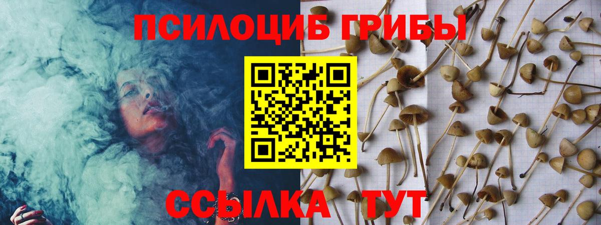 Псилоцибиновые грибы мицелий Томск