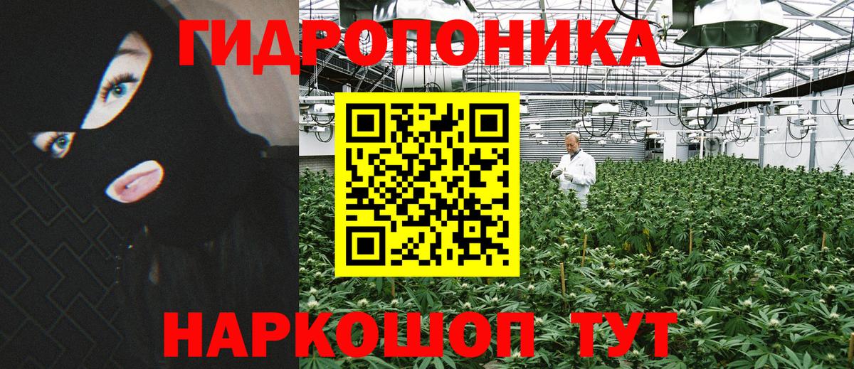 Томск  Канабис OG Kush  МАРИХУАНА SATIVA & INDICA  Канабис сатива  Вход с VPN  Бошки Шишки THC 21% 